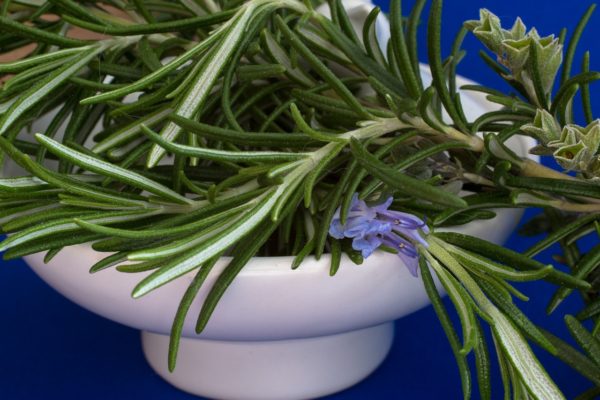 rosemary, culinary herbs, herbs-1409060.jpg